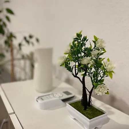 Elma Holiday home