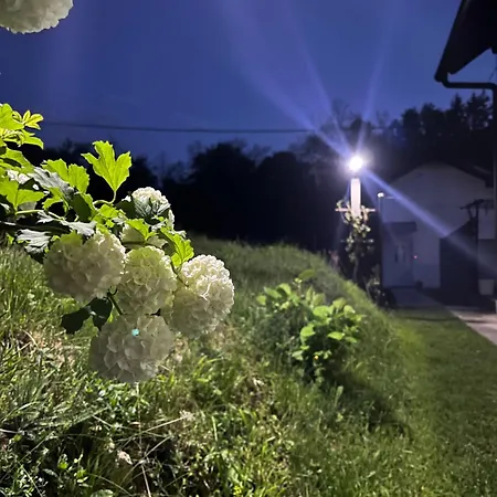 펜션 Elma 야이체