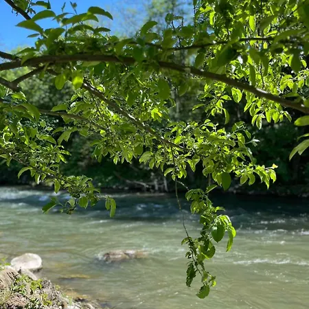 Elma Jajce
