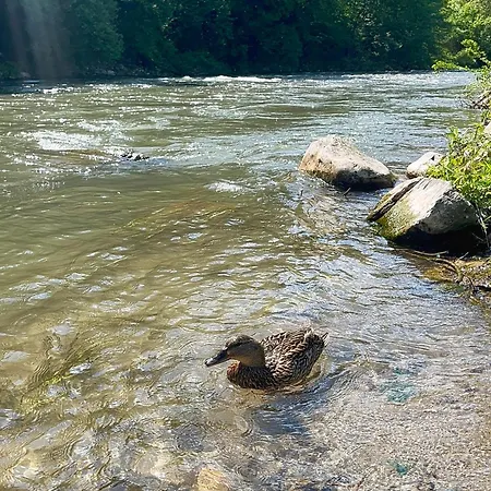Semesterbostad Elma Jajce