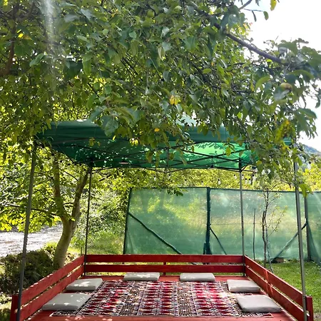 Elma * Jajce